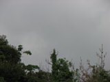 060622_084835.JPG