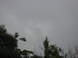 060622_084847.JPG