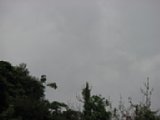 060622_084933.JPG