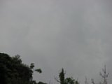 060622_084950.JPG
