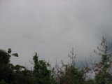 060622_085204.JPG