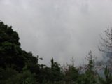 060622_085228.JPG
