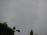 060622_085257.JPG