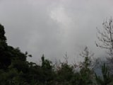 060622_085309.JPG