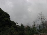 060622_085328.JPG