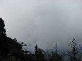 060622_140145.JPG
