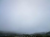 20110512_06.jpg