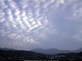 20110513_06.jpg