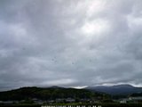 20110529_14.jpg