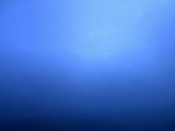 20110727_05.jpg