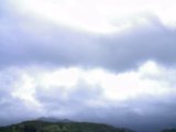 20110806_10.jpg
