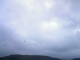 20110809_10.jpg