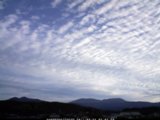 20110924_07.jpg