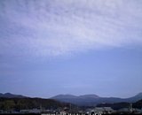 20120127_11.jpg