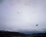 20120429_16.jpg