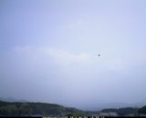 20120507_10.jpg