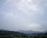 20120517_07.jpg