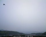 20120611_07.jpg