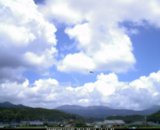 20120815_12.jpg