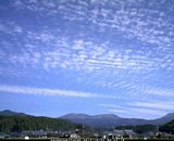 20121024_10.jpg
