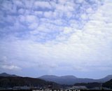 20130225_10.jpg