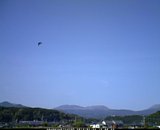 20130422_16.jpg