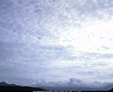 20130527_07.jpg