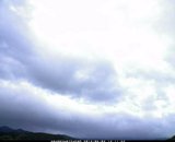20130603_13.jpg